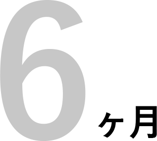 6カ月